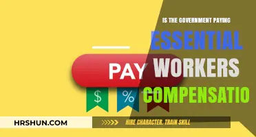 Fair Pay for Essential Workers: Government Compensation in Question