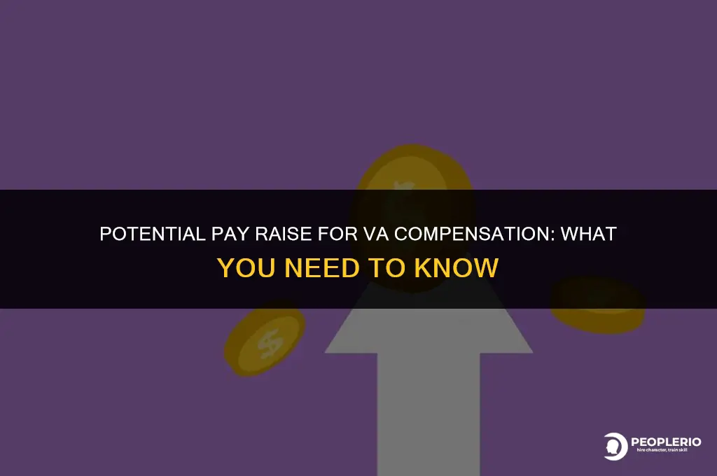 is there a pay raise coming for va compensation