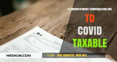 Navigating Tax Implications: Unemployment Benefits Amidst the Pandemic
