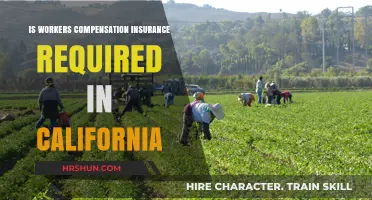 Understanding California's Workers' Compensation Insurance Requirements