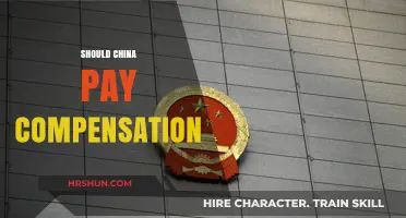 Should China Pay Compensation: A Complex Debate Unfolds