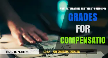 Exploring Innovative Compensation Strategies Beyond Traditional Pay Grades