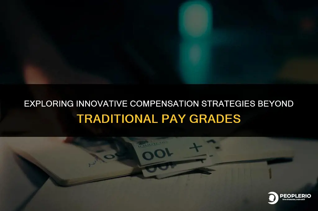 what alternatives are there to using pay grades for compensation