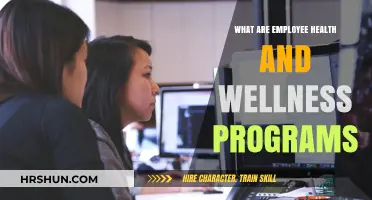 Boosting Productivity and Morale: The Power of Employee Health and Wellness Programs