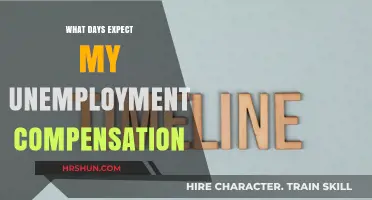 Navigating Unemployment Benefits: A Timeline for Expecting Your Compensation