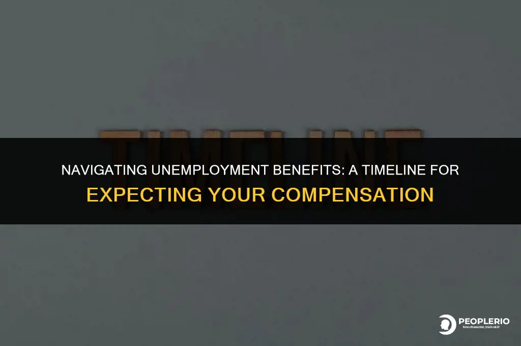what days expect my unemployment compensation