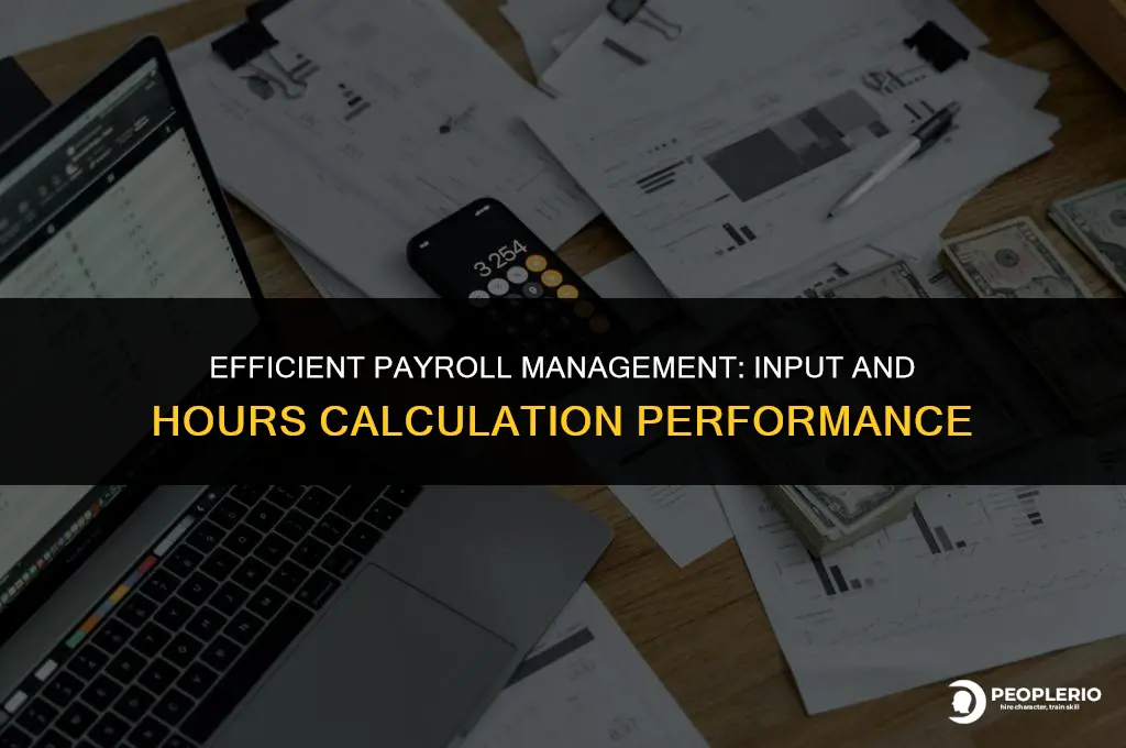 what does the performance of payroll input and hours calculation