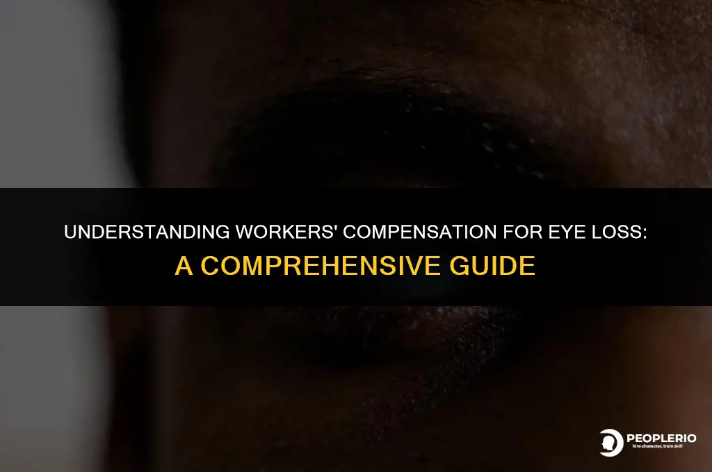 what does workers compensation pay for loss eye