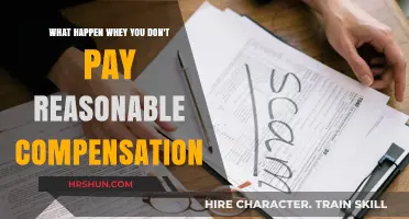 The Consequences of Underpaying: A Guide to Reasonable Compensation