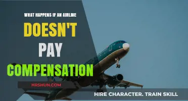 Consequences of Non-Payment: Airline Compensation Explained
