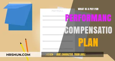 Unlocking Success: The Power of Pay-for-Performance Compensation Plans