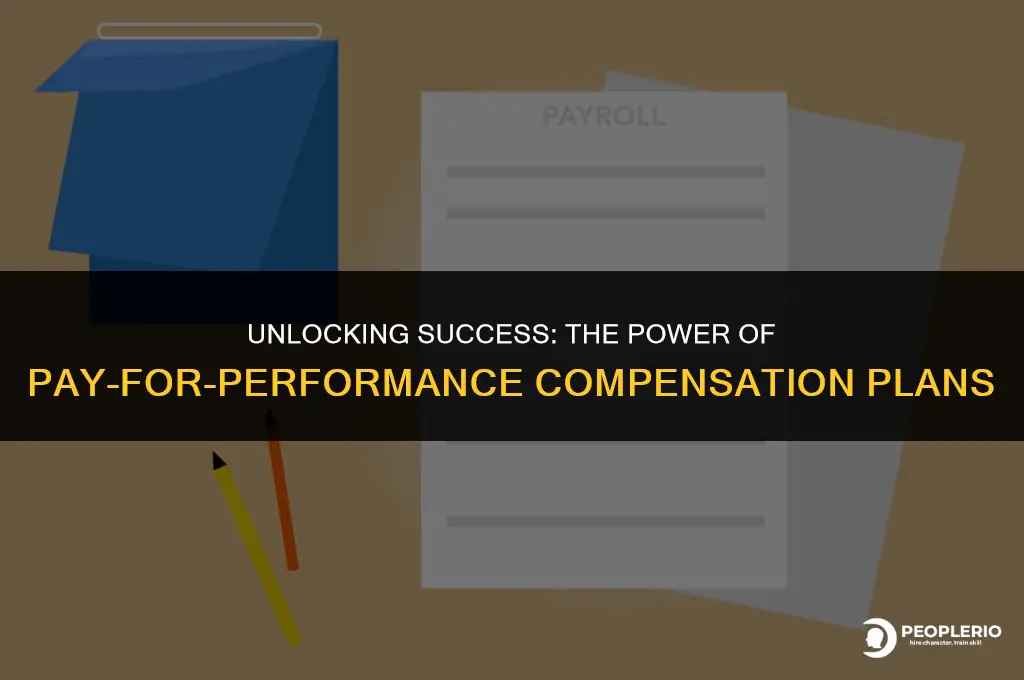 what is a pay for performance compensation plan