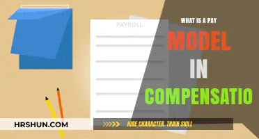 Understanding Pay Models in Compensation: A Comprehensive Guide
