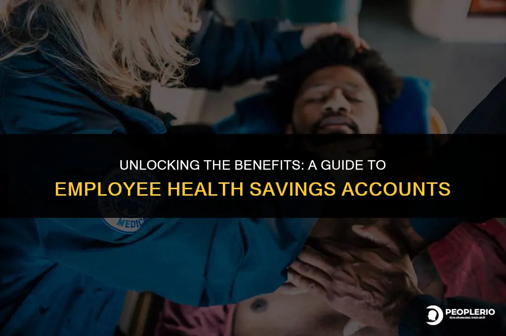 what is an employee health savings account