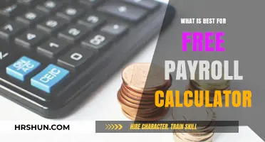 Effortless Payroll Management: Top Free Calculator Tools Compared