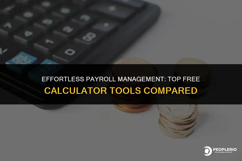 what is best for free payroll calculator
