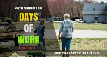 Defining a Full Day's Work: Hours, Productivity, and Modern Standards