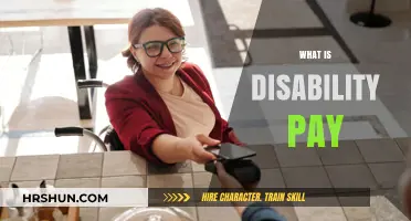 Understanding Disability Pay: A Comprehensive Guide