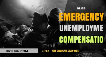 Understanding Emergency Unemployment Compensation: A Lifeline During Crisis