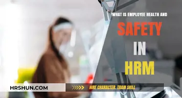 Safeguarding Workforce Well-being: The HRM Guide to Employee Health and Safety