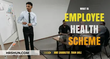 Understanding Employee Health Schemes: A Comprehensive Guide