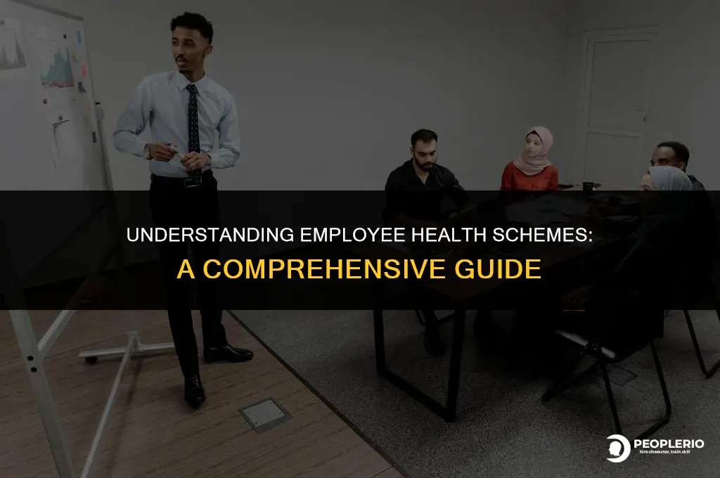 what is employee health scheme