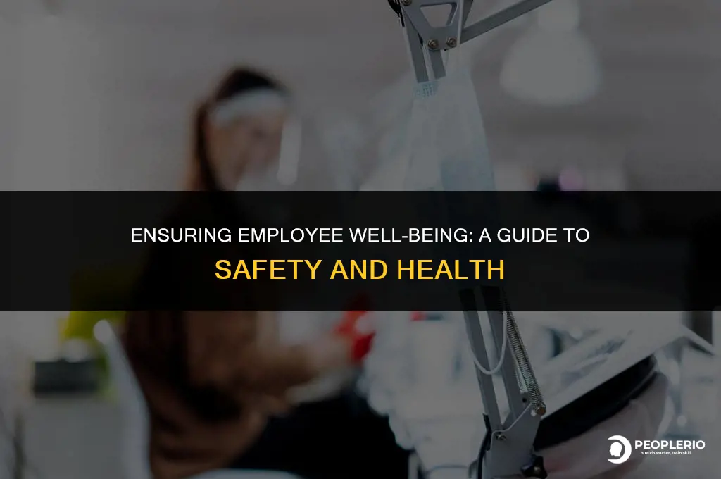 what is employee sadety and health