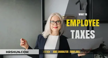 Understanding Employee Taxes: A Comprehensive Guide for Workers