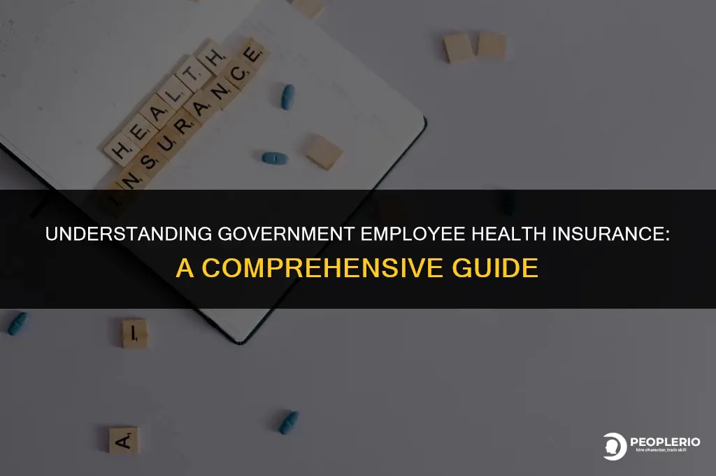 what is government employee health insurance