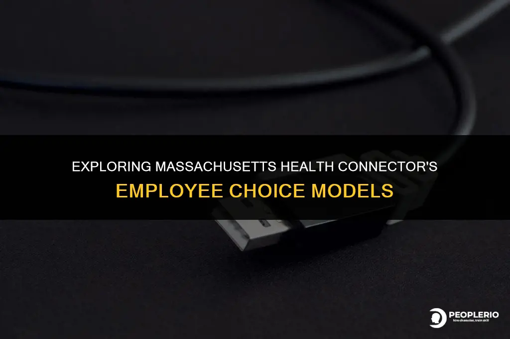 what is massachusetts health connector employee choice models