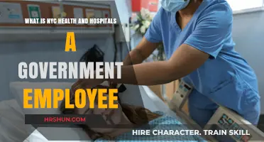 Understanding NYC Health + Hospitals: A Guide for Government Employees
