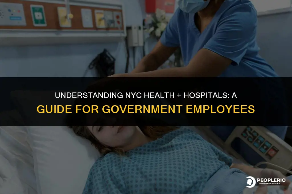 what is nyc health and hospitals a government employee