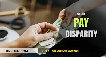 Unveiling the Truth: Pay Disparity in the Modern Workplace