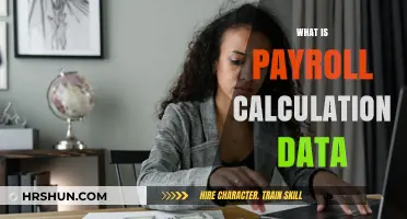 Decoding Payroll Calculation Data: A Comprehensive Guide