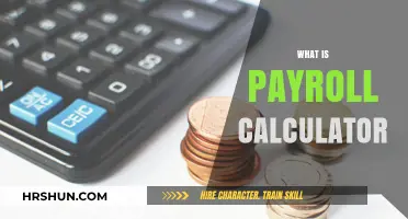 Understanding Payroll Calculators: A Comprehensive Guide for Employers and Employees