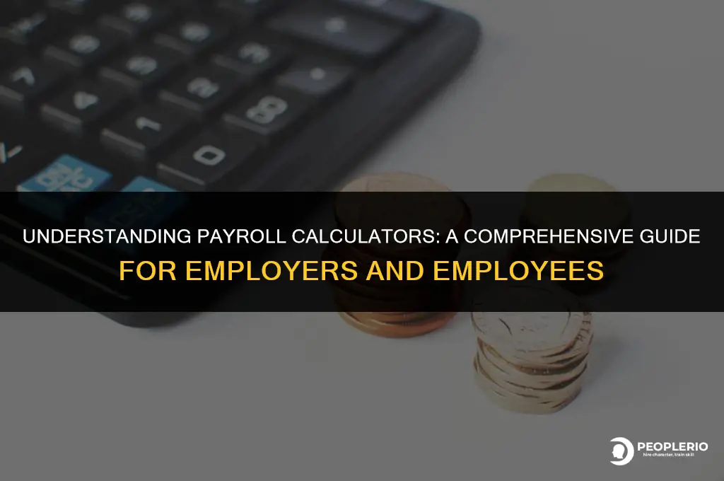what is payroll calculator