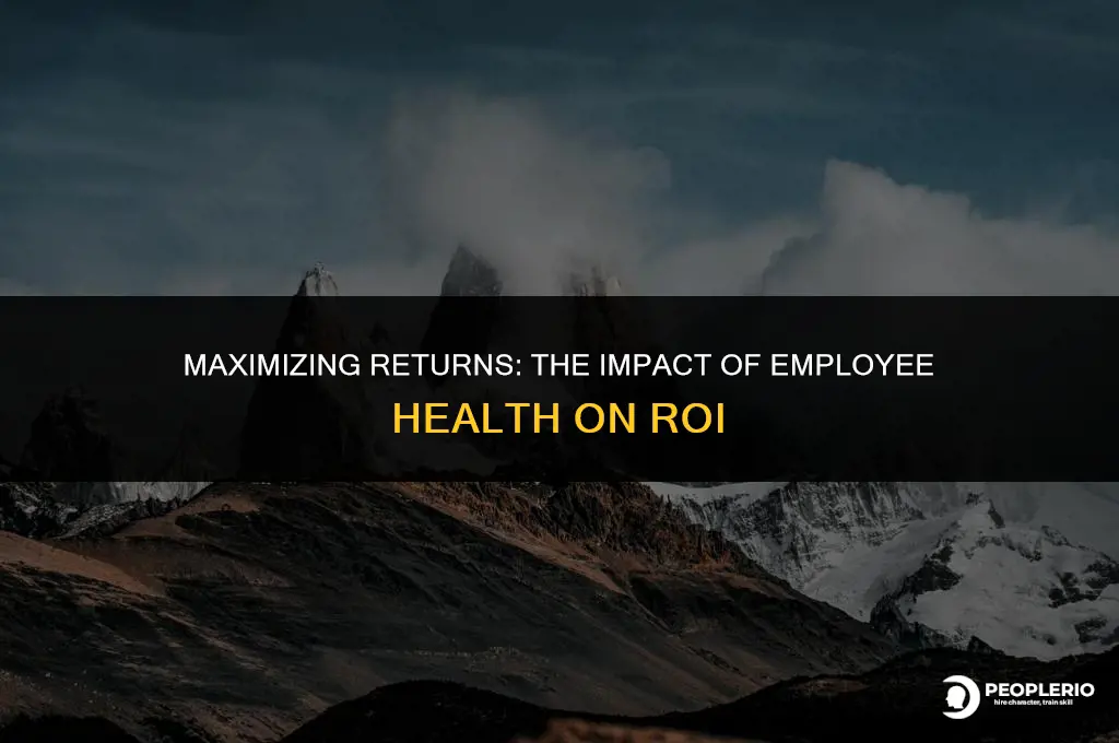 what is roi employee health