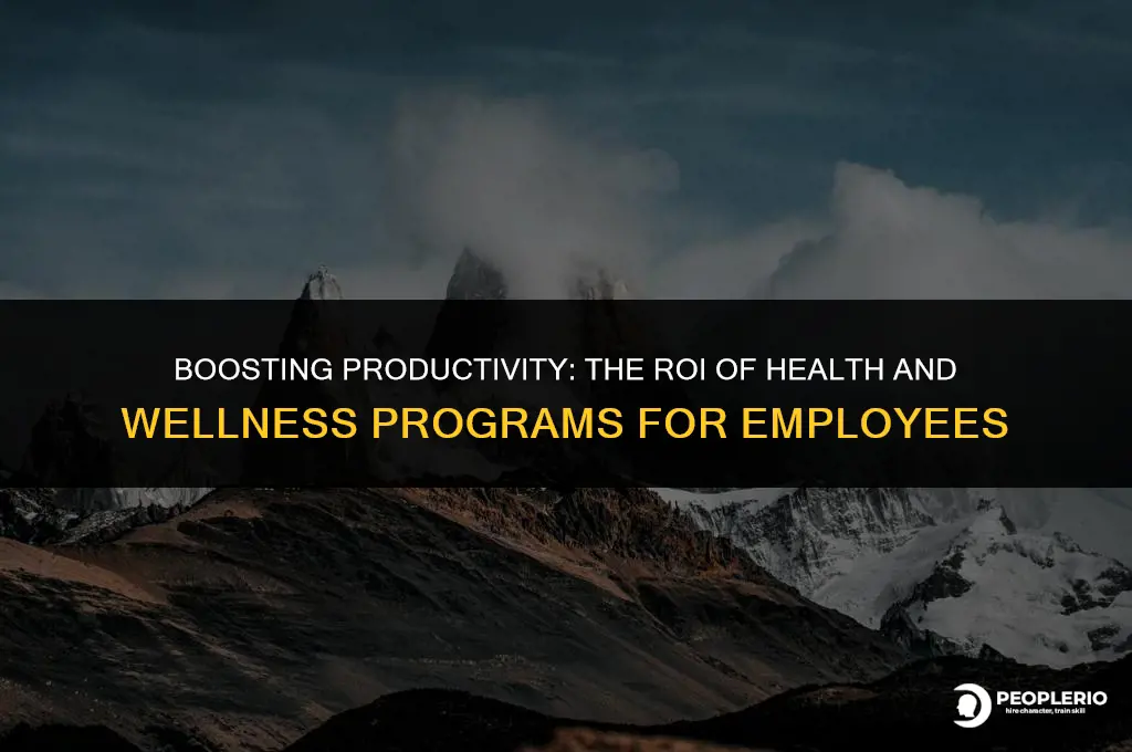 what is roi for health wellness programs pre employee
