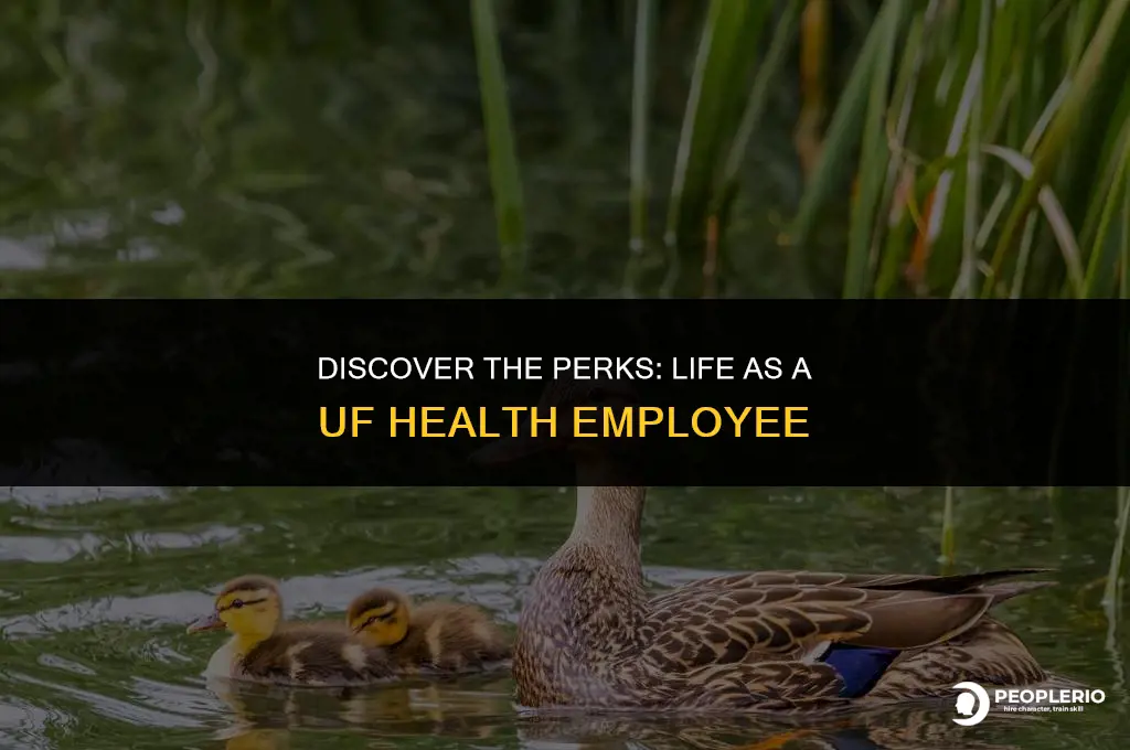 what is so great about being a uf health employee