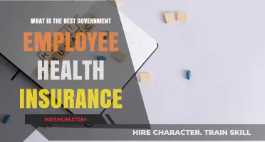 Exploring the Top Health Insurance Options for Government Employees