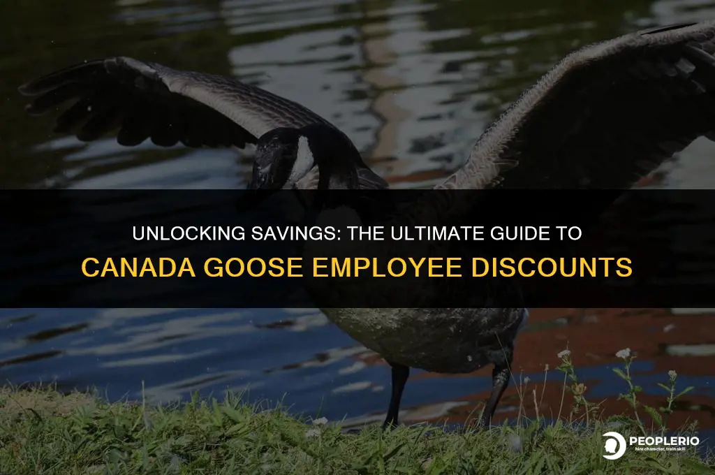 what is the canada goose employee discount