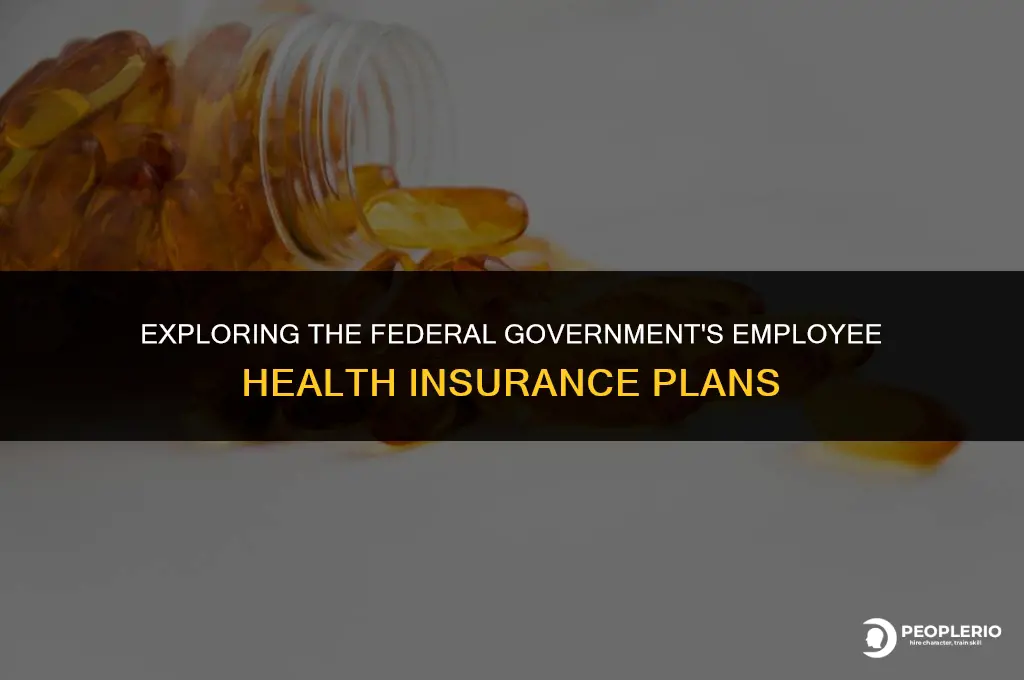 what is the fed govts employee health ins plans name