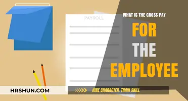 Decoding Employee Compensation: Understanding Gross Pay Components