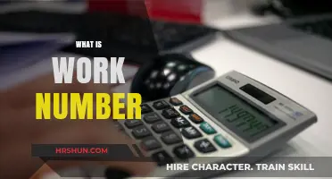 Understanding Work Numbers: A Comprehensive Guide for Professionals