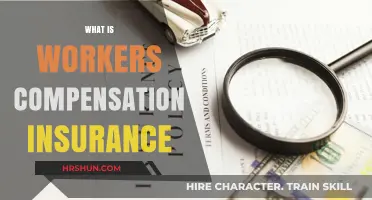 Understanding Workers' Compensation Insurance: A Comprehensive Guide