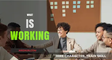 Exploring the Dynamics of Effective Collaboration in the Workplace