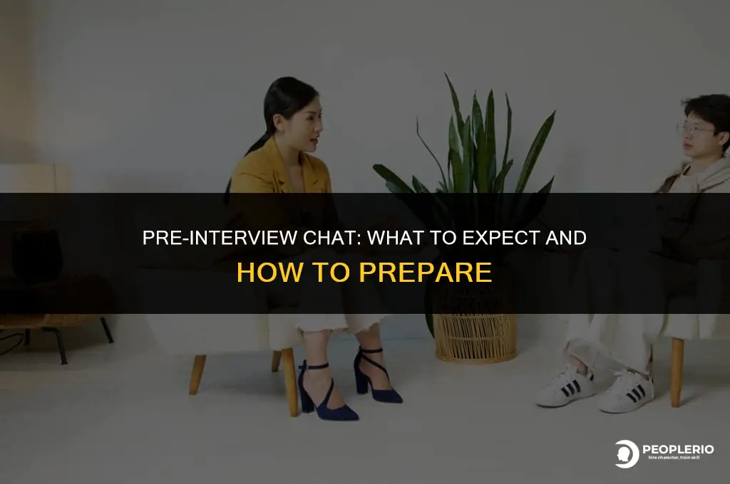 when a recruiter wants to chat before the interview