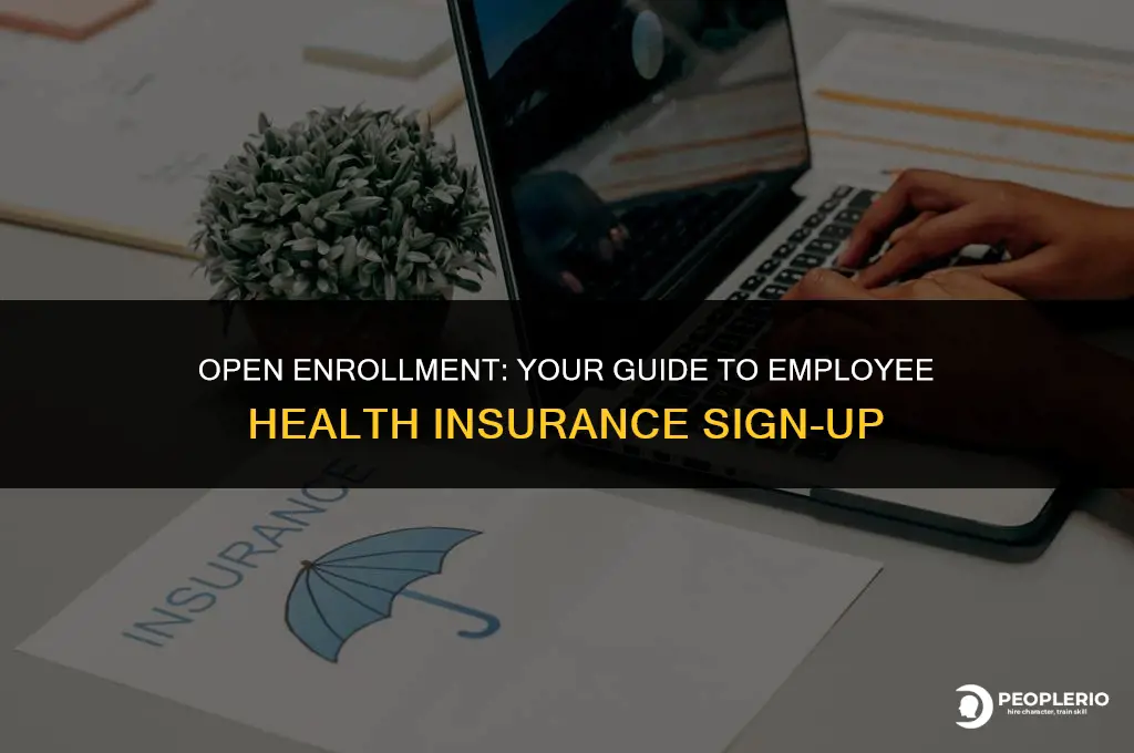 when does employee health insurance sign up start