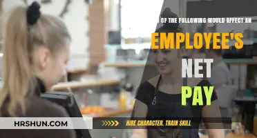 Factors Influencing Employee Net Pay: Key Determinants Explained