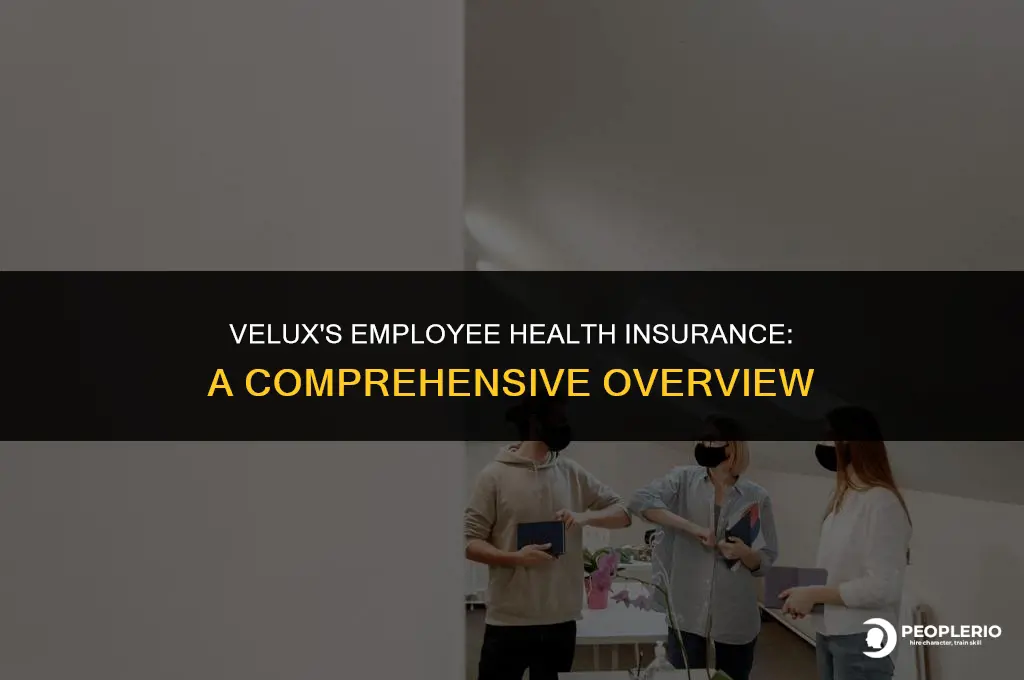 who does velux use for employee health insurance